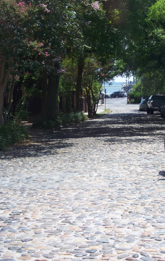 A tree-lined cobblestone street that leads to the harbor.