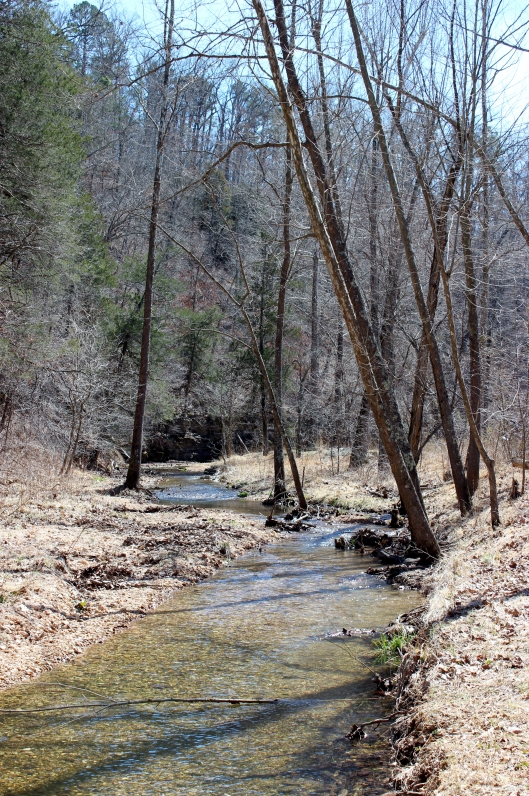 Little Clifty Creek in Hobbs State Park