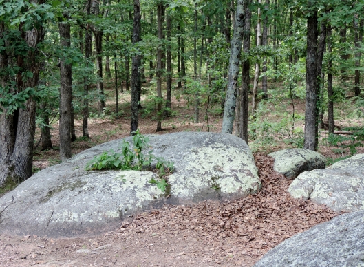 At the end of the day, Elephant Rocks State Park is a great walk in the woods!