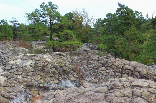 These are the "turtle " rocks at Petit Jean, an unusual geologic site for sure.