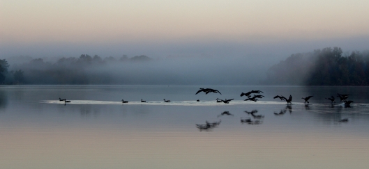 Once again, the view toward the west, as the geese awoke to the new day was as spectacular as the view in the east.