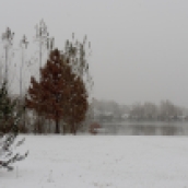 I returned to the park...it was a beautiful white wonderland. I loved the way the fog lay low on the water.