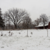 After leaving the park, I went for a ride. I found this barn outside of town. How pretty snow is...how silent and how very special.