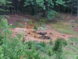 The red rock of the iron pit at Meramec Spring Park.