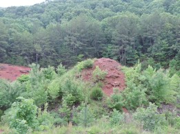 In addition to the red rock in the foreground, you can see the deep forested expanse typical of this part of Missouri. The wood from the forest was essential in the production of iron at the iron works.