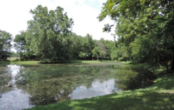 Williams Pond, where George spent time playing with children from the extended Carter family.