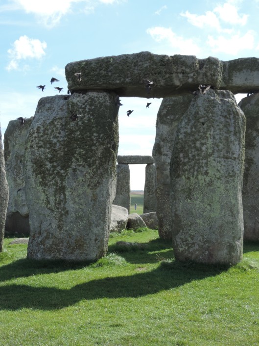 Rooks flying off a trilithon at Stonehenge.